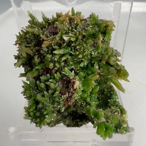 Fine Grass-Green Pyromorphite Crystals: Daoping Mine, Guangxi, China- Classic!! - Picture 1 of 6