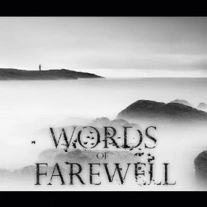 WORDS OF FAREWELL "IMMERSION" CD ----10 TRACKS---- NEU - Picture 1 of 1
