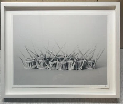 Fotografía abstracta contemporánea de vértebras espina comuna PATRICIA SILVA Foto 1 de 4