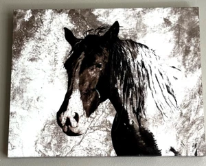 Brown Beige Framed Horse Head Print on Canvas 16 x 20" - Picture 1 of 3