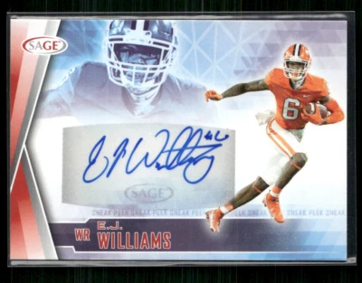EJ Williams 2022 Sage Red Auto - Image 1 of 2