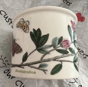 NEU Susan Willis-Ellis Portmeirion BOTANISCHER GARTEN Trommel flache Tasse RHODODENDRON - Bild 1 von 8