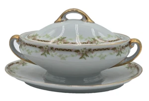 Tirschenreuth Biltmore Tureen Gravy Boat with Lid and Attached Underplate - Picture 1 of 12