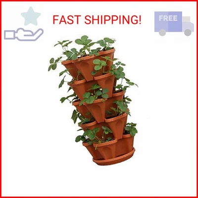 Maceta de fresas Mr. Stacky de 5 niveles, 5 ollas Foto 1 de 2