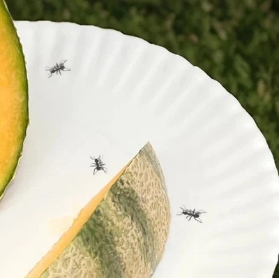180 Degrees Melamine Ant Plates 9” Faux Paper Plate Outdoor Picnic BBQ ~Set of 6 - Image 1 of 4