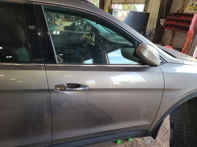 2015 - 2019  HYUNDAI SANTA FE  Passenger Right Front Door LWB  - Image 1 of 4