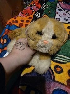 Tyco Kitty Kätzchen Kätzchen Dschungel orange hellbraun weiß Löwe Junges Plüschkatze - schnurrt - Bild 1 von 8