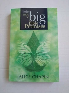 LITTLE BOOK OF BIG BIBLE PROMISES Paperback Book - Picture 1 of 2