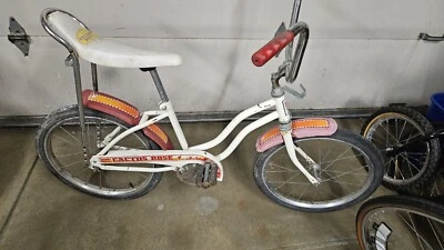 70s Vintage Huffy Catus Rose Girls Muscle Bike Murray Western Flyer AMF Sears  - Image 1 of 4