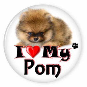  I LOVE MY POMERANIAN DOG PUPPY 3" SAFETY PIN BACK BUTTON - Picture 1 of 2