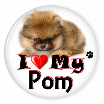ABC BADGES AND BUTTONS I LOVE MY POMERANIAN DOG PUPPY 3" SAFETY PIN BACK BUTTON