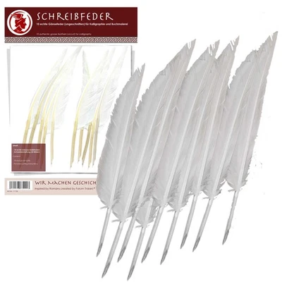 Schreibfedern penna scriptoria 10 Stk. ungeschnitten - Bild 1 von 3