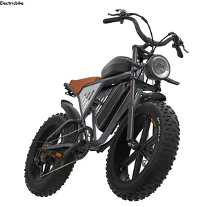 Cargo eBike 150KG Load 60Nm Torque 25° Hill Climb 48V 34Ah Dual Batteries E-bike - Picture 1 of 13