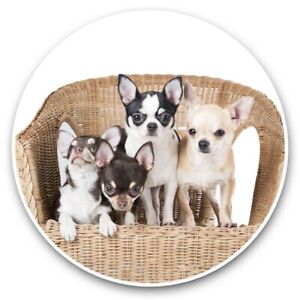 2 x autocollants vinyle 30 cm - Chihuahua Puppies Dogs Puppy Dogs #44581