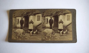 Stereoview Photograph AN IRISH CROFTER AND HIS WIFE IRELAND 1902 3D Card - Picture 1 of 4