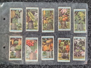 WILLS-FULL SET- Flowering Trees & Shrubs 1924 (50 CARDS) 