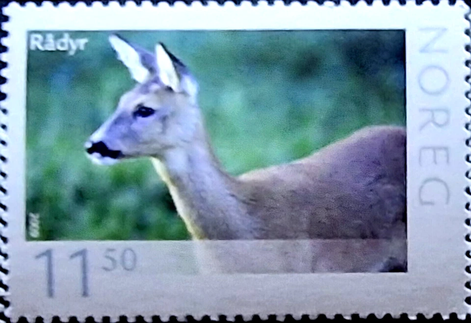 Noruega Animales Salvajes - Ciervo del Bosque - Sello MNH Foto 1 de 1