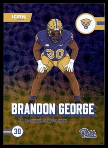Holo Brandon George serie Onit Icon 2024 #IC-3 - Imagen 1 de 2