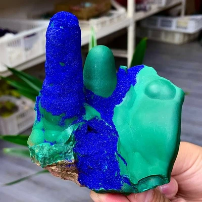 1.16LB  BEST Natural Azurite/Malachite crystal minerals specimens - Image 1 of 4