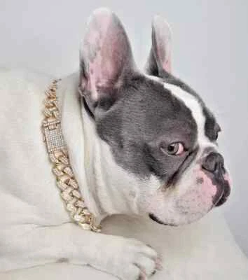 Collar de cadena cubana helada de 13 mm 12" ~ 24" chapado en oro para mascotas perros gatos Foto 1 de 4