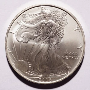 2006 Silver American Eagle Dollar - Picture 1 of 2