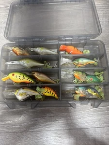 Vintage Crank Bait Lure Lot Of 15 Bomber, Heddon, Rapala, Frenzy, Rebel And Case - Picture 1 of 24