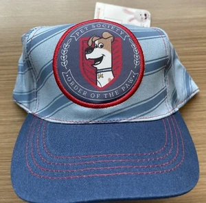 Gorra de béisbol Secret Life of Pets Max Snapback azul niños nueva con etiquetas - Imagen 1 de 9