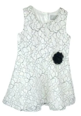 The Childrens Place Toddler Girl White Black Lace Sleeveless Party Dress Size 4T - Image 1 of 2