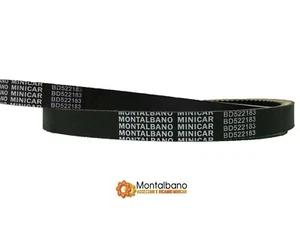Cinghia trasmissione variatore BD522183 alte prestazioni meccaniche e durata - Foto 1 di 1