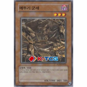 Yugioh Card "Swarm of Locusts" PGD-KR022 Korean Ver Common - Picture 1 of 1