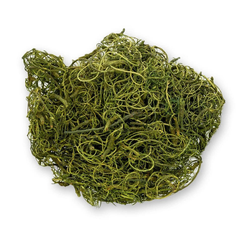 NaDeco Curly Moos moosgrün 200g Curlymoos Tillandsia Moos Deko Moos Bastelmoos