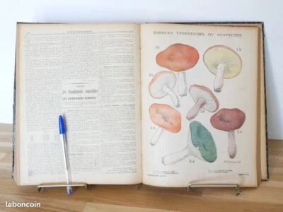 Le Petit Journal AGRICOLE (1906) Journal Supplément illustré Agriculture Moderne - Photo 1/4