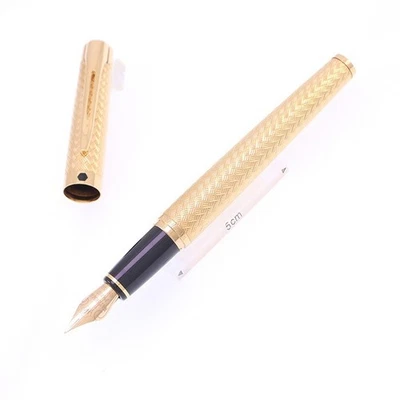 Pluma Estilográfica WATERMAN Retaron Chapado en Oro Metal Plumín EF 18K Herramienta de Escritura Foto 1 de 4