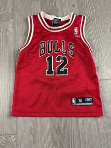 Reebok Jersey #12 Hinrich Jersey Red Youth Size M 5-6 Chicago Bulls - Picture 1 of 10