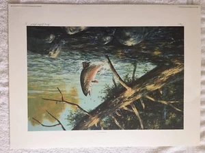 1989 GEORGE LUTHER SCHELLING " WILDWATER BROOK TROUT" SIGNED PRINT 15 of 600 - Picture 1 of 5