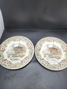 2 Myott Churchill Wildlife Teller England Hirsch Teller Vintage - Bild 1 von 7