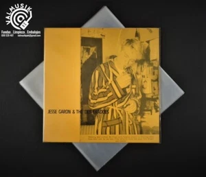 50 FUNDAS EXTERIORES GALGA 400 32 x 32 PARA DISCOS DE VINILO LP 12" MAXI SINGLE - Imagen 1 de 3