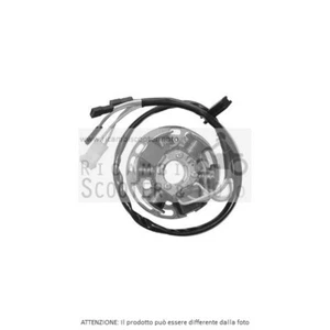 Estator completo Derbi Senda SM X-Treme (Sdr1Fb) Ducati 50 03 103906 - Imagen 1 de 1