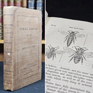 1829 The Natural History of Insects Volume 1 [of 2] ILLUSTRATED Bees Ants Etc - Imagen 1 de 14