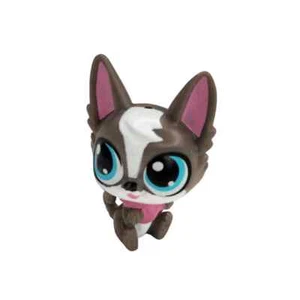 Littlest Pet Shop Blind Bags Chihuahua 3973 braun weiß Mini - Bild 1 von 3