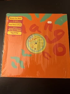 CHAKA DEMUS & PLIERS Murder She Wrote USA 12” 1992 ISLAND RECORDS REGGAE - Picture 1 of 7