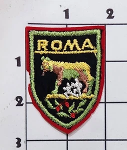 Roma Shield Patch Remus Romulus SheWolf Italy  Felt Roma Vintage Travel Souvenir - Picture 1 of 1