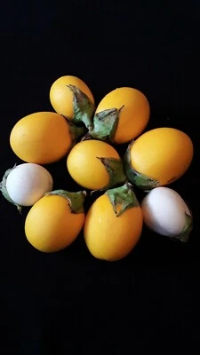 50 Semillas de Berenjena Dorada Melongena Ornamentales y Comestibles Foto 1 de 2