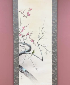 Pergamino colgante japonés flor de ciruelo curruca pintura con caja asiática antigua 215 - Imagen 1 de 13