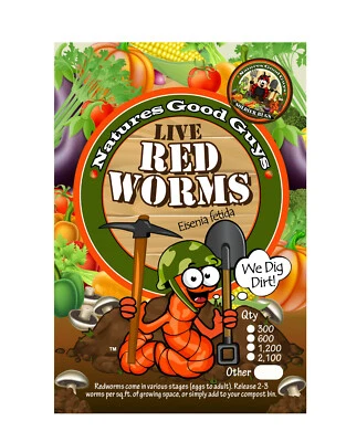 NaturesGoodGuys Live Red Worms 600 Adultos - Red Wigglers - Imagem 1 de 4