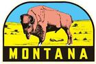 Montana Bison   Vintage Style Travel Decal Sticker
