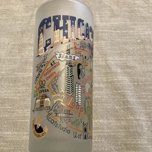 Catstudio 2008 vidrio esmerilado - 16 oz - Chicago, Illinois con monumentos de la ciudad - Imagen 1 de 9