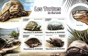 African TORTOISE TURTLE & TERRAPIN Reptile Stamp Sheet #1 of 5 (2011 Burundi) - Picture 1 of 1
