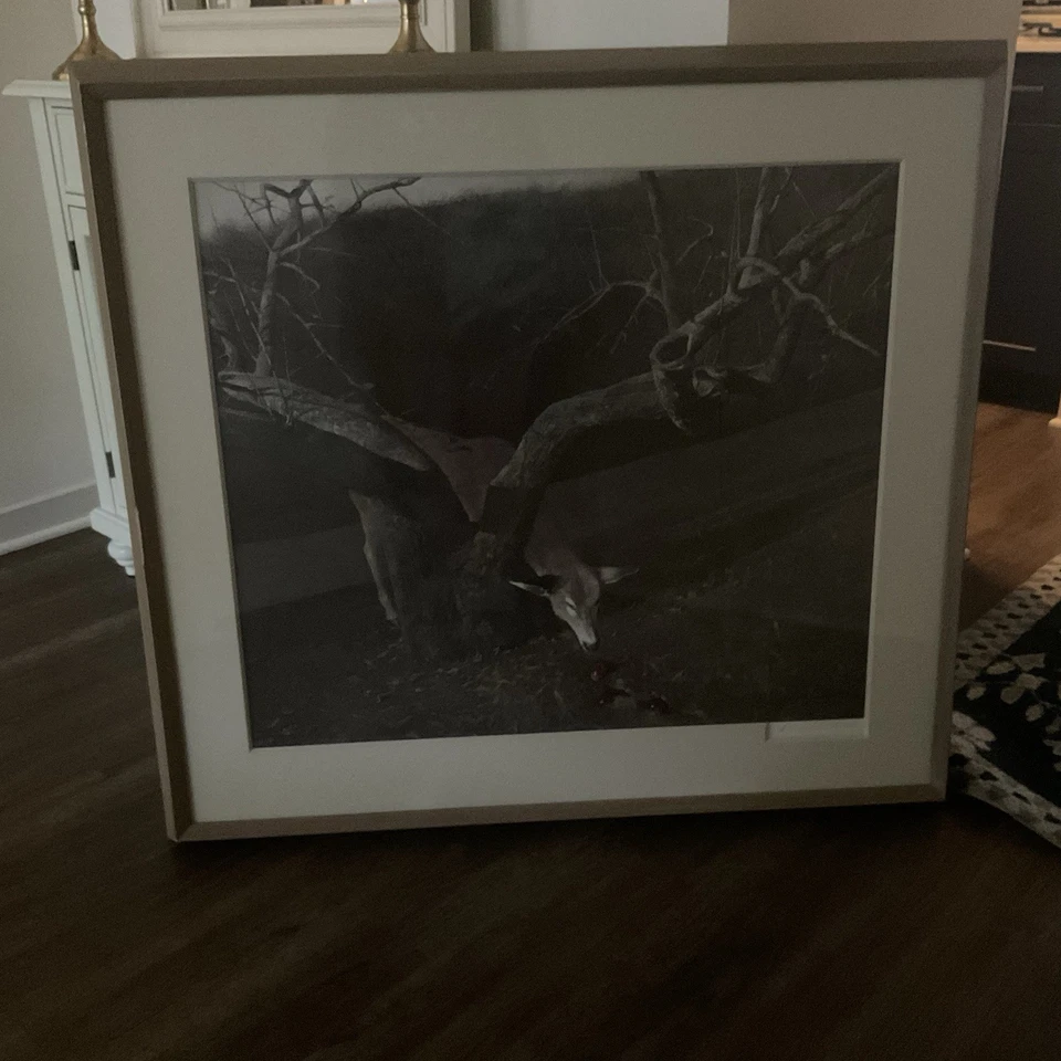 1981 Andrew Wyeth Grande 42” X 38” Impressão Numerada Assinada Jacklight 156/300 - Imagem 1 de 4