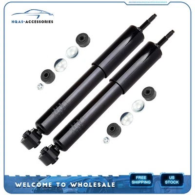 Pair For 2002-2005 Dodge Ram 1500 (4WD) Front Shocks Struts — 第 1/4 张图片